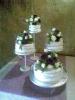 Cake Debbi Reynolds and Louwtjie Prinsloo at Stables of Zebra County Lodge